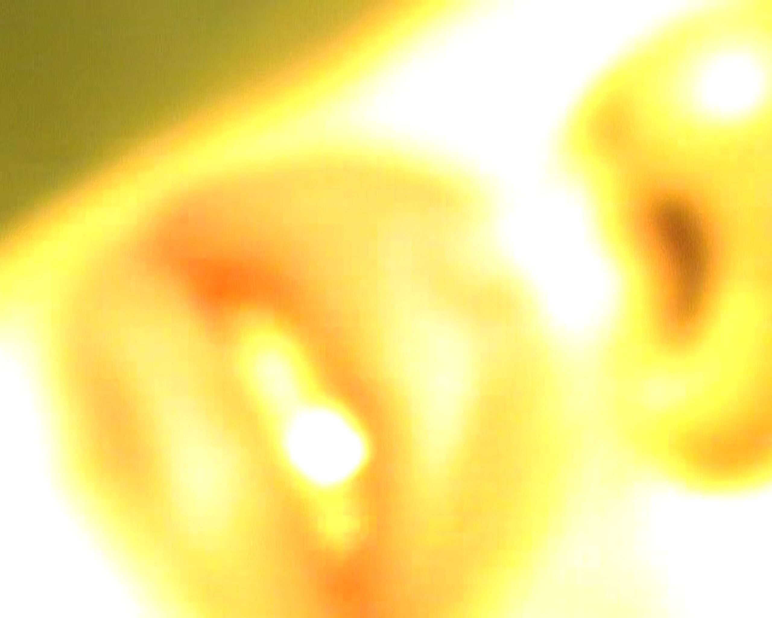 Jelle Haen / Aris Tottle in Yellow — HandyCam video still by Joy Bomer
